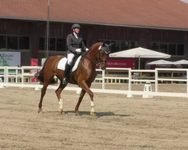 Reitturnier Pellheim-Gerblhof 2018