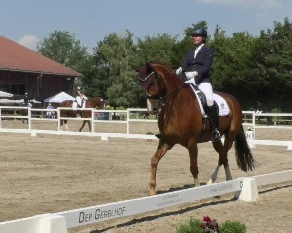 Reitturnier Pellheim-Gerblhof 2018