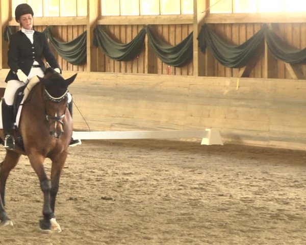 Reitturnier Pellheim-Gerblhof 2018