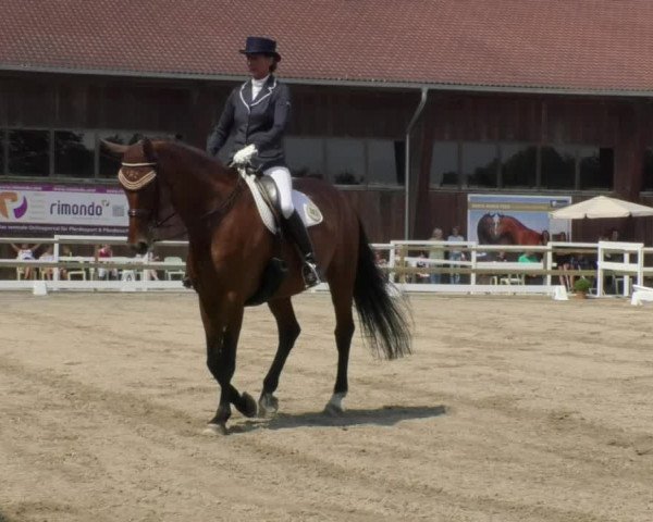 Reitturnier Pellheim-Gerblhof 2018