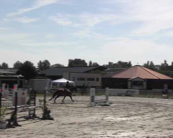 Reitturnier Schülp / Rendsburg 2018