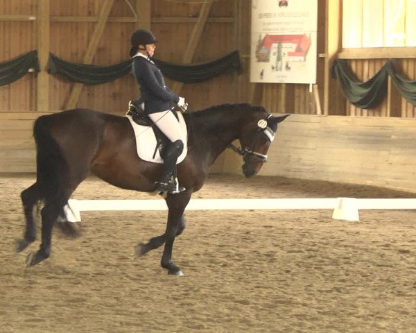 Reitturnier Pellheim-Gerblhof 2018