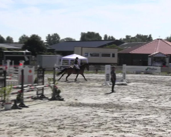 Reitturnier Schülp / Rendsburg 2018