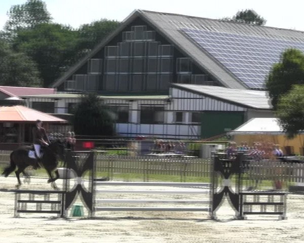 Reitturnier Schülp / Rendsburg 2018