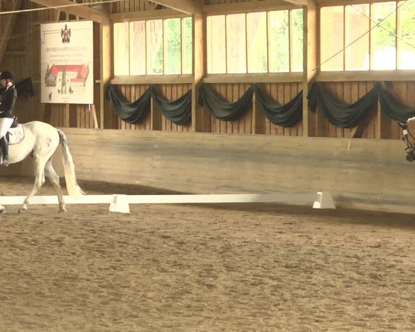 Reitturnier Pellheim-Gerblhof 2018