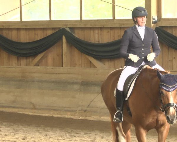 Reitturnier Pellheim-Gerblhof 2018