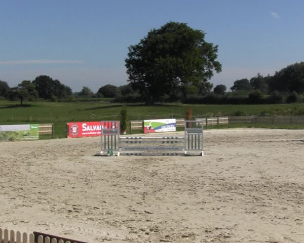Reitturnier Schülp / Rendsburg 2018