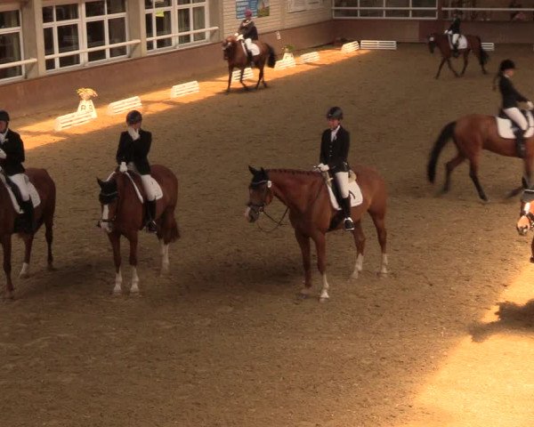 Reitturnier Delbrück-Ostenland 2018