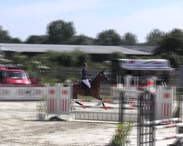 Reitturnier Schülp / Rendsburg 2018