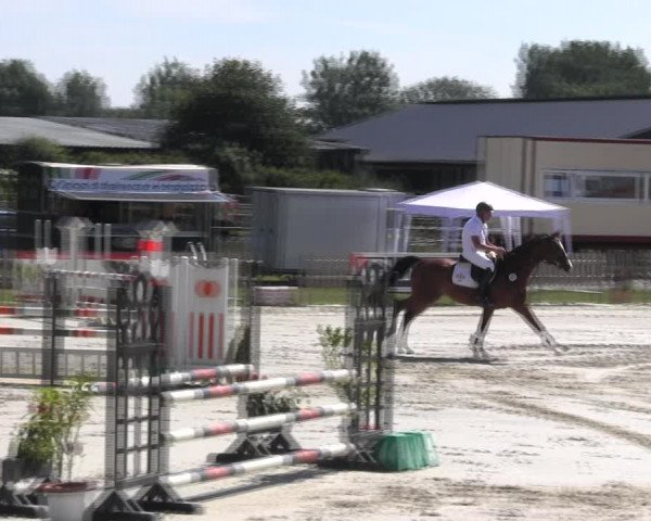 Reitturnier Schülp / Rendsburg 2018