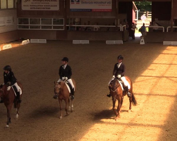 Reitturnier Delbrück-Ostenland 2018