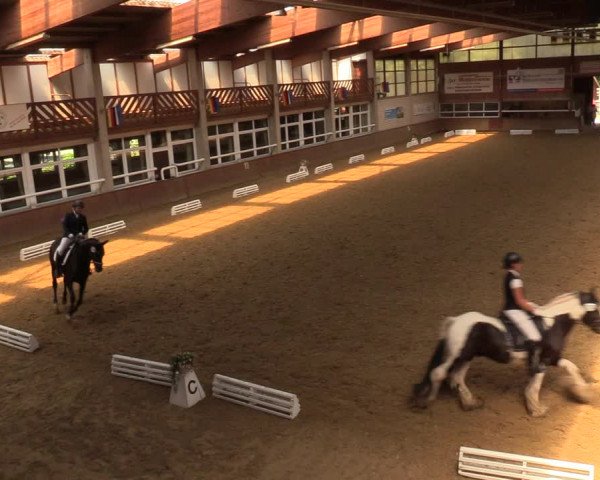 Reitturnier Delbrück-Ostenland 2018