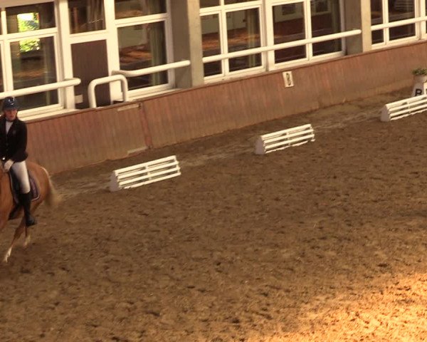 Reitturnier Delbrück-Ostenland 2018
