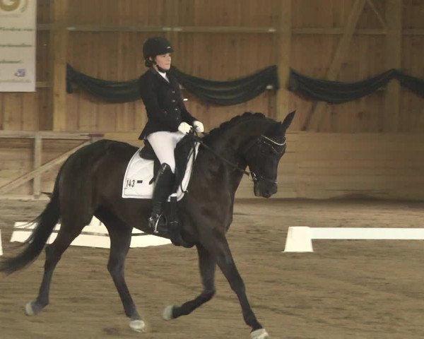 Reitturnier Pellheim-Gerblhof 2018