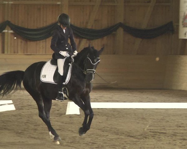Reitturnier Pellheim-Gerblhof 2018