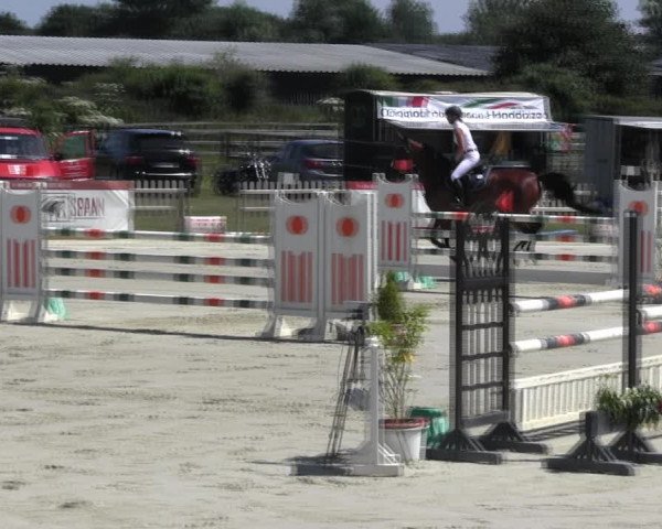 Reitturnier Schülp / Rendsburg 2018