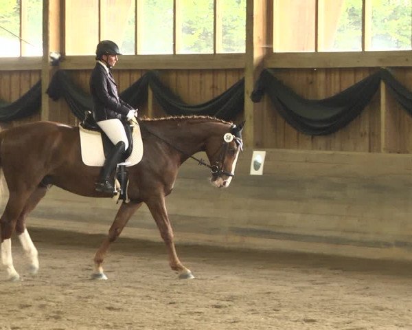 Reitturnier Pellheim-Gerblhof 2018