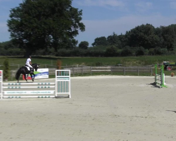 Reitturnier Schülp / Rendsburg 2018