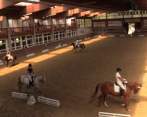 Reitturnier Delbrück-Ostenland 2018