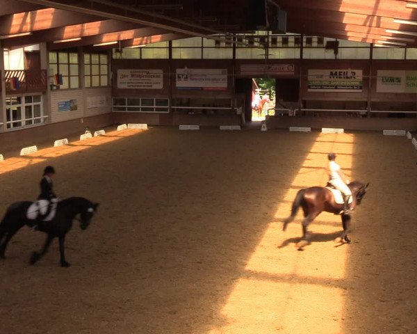 Reitturnier Delbrück-Ostenland 2018