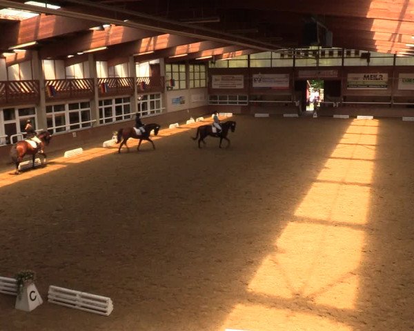 Reitturnier Delbrück-Ostenland 2018