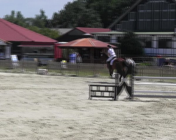 Reitturnier Schülp / Rendsburg 2018