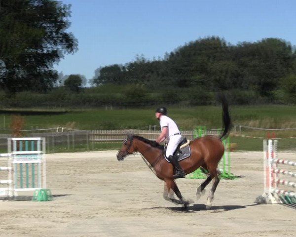 Reitturnier Schülp / Rendsburg 2018