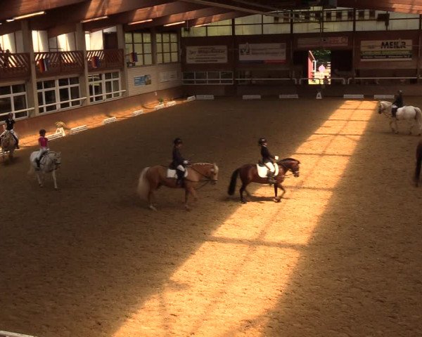 Reitturnier Delbrück-Ostenland 2018