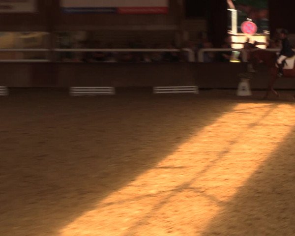 Reitturnier Delbrück-Ostenland 2018