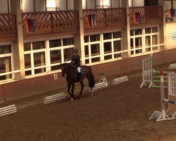 Reitturnier Delbrück-Ostenland 2018