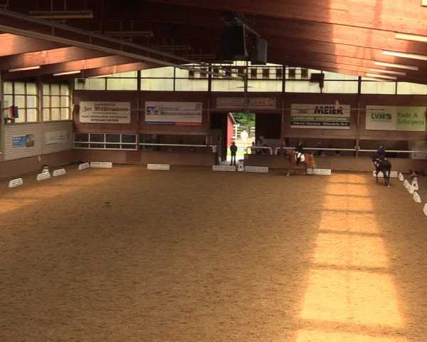 Reitturnier Delbrück-Ostenland 2018