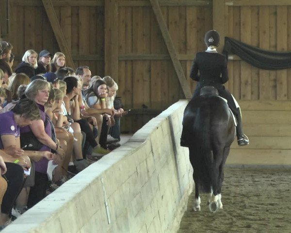 Reitturnier Pellheim-Gerblhof 2018