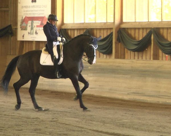 Reitturnier Pellheim-Gerblhof 2018