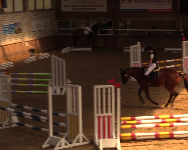 Reitturnier Delbrück-Ostenland 2018