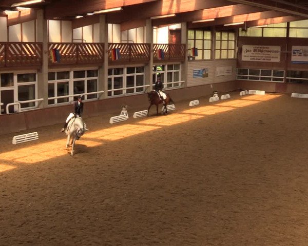 Reitturnier Delbrück-Ostenland 2018