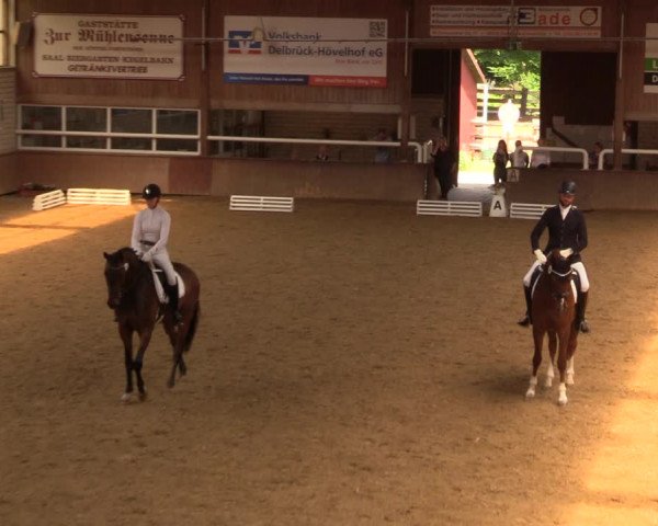 Reitturnier Delbrück-Ostenland 2018