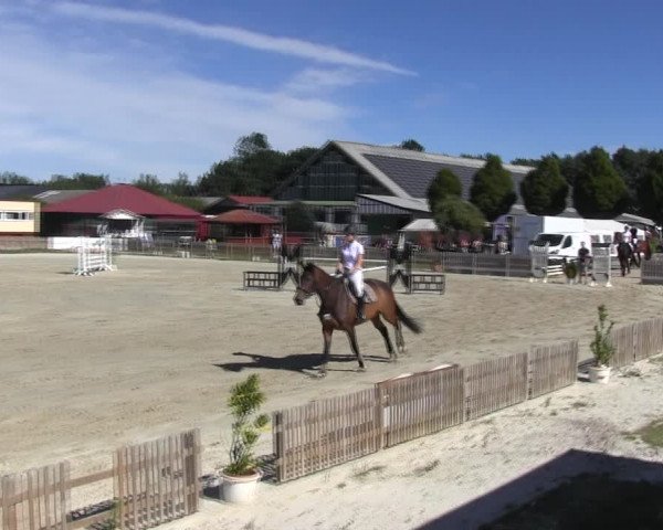 Reitturnier Schülp / Rendsburg 2018