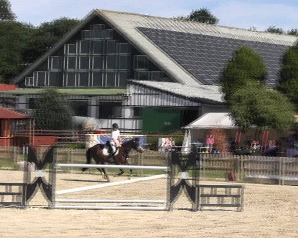 Reitturnier Schülp / Rendsburg 2018
