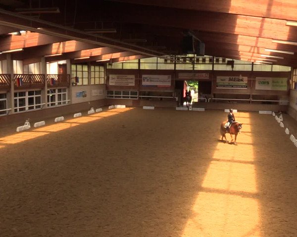 Reitturnier Delbrück-Ostenland 2018