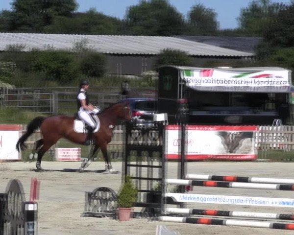 Reitturnier Schülp / Rendsburg 2018