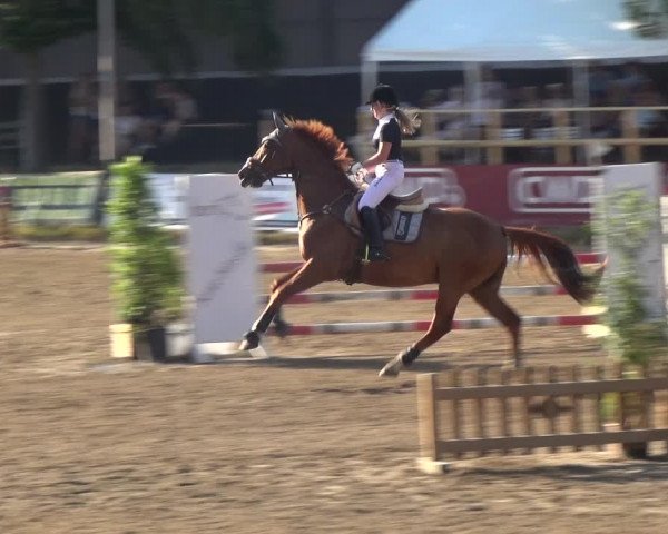 Erkrather Classics 2018