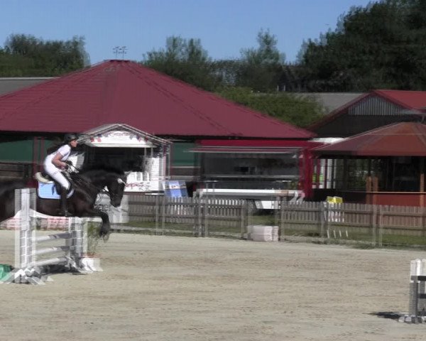 Reitturnier Schülp / Rendsburg 2018