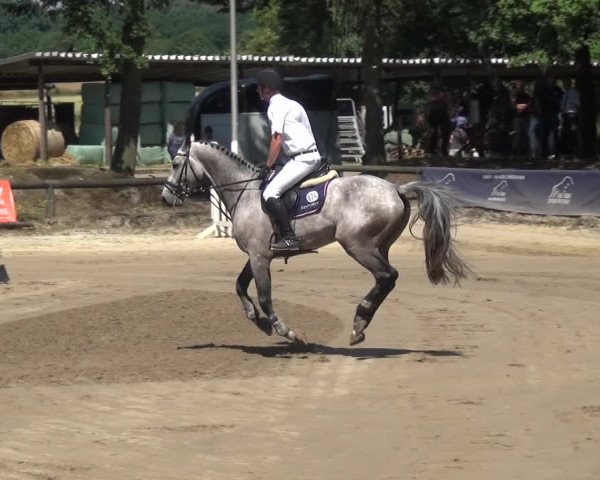 Erkrather Classics 2018