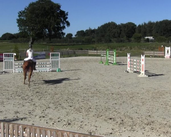 Reitturnier Schülp / Rendsburg 2018