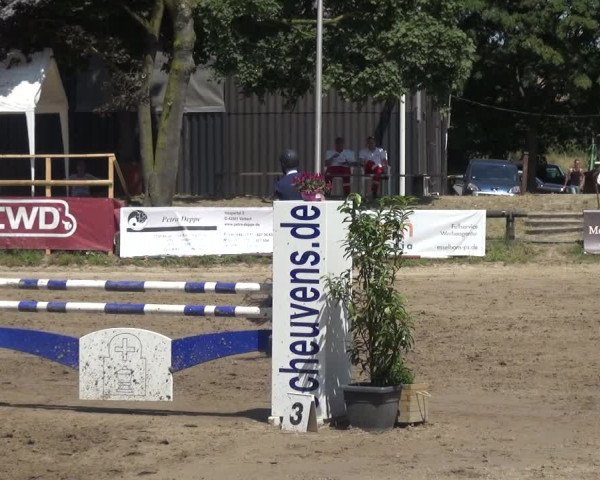 Erkrather Classics 2018