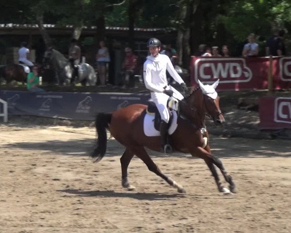 Erkrather Classics 2018