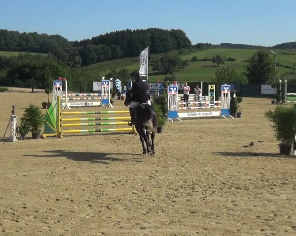 Reitturnier Lindlar-Süttenbach 2018