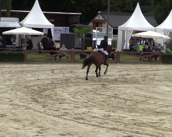 Equus Colonius - Reitanlage Brüse Köln 2021