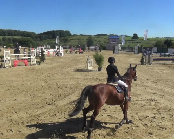 Reitturnier Lindlar-Süttenbach 2018