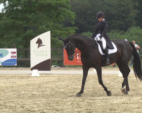 CDI**** Leudelange (LUX) 2018